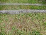 image of grave number 683794